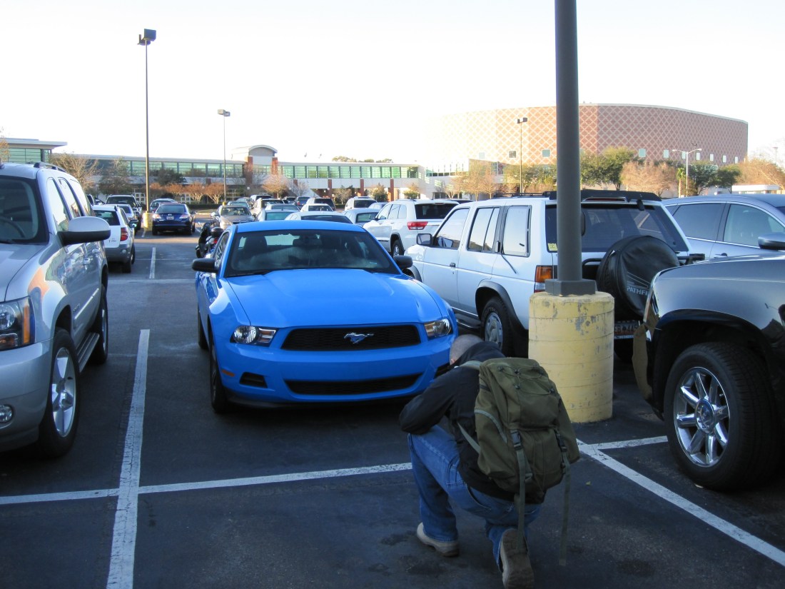 image_37bd08dc-72c4-4d65-bcd3-cfdec5f4b094